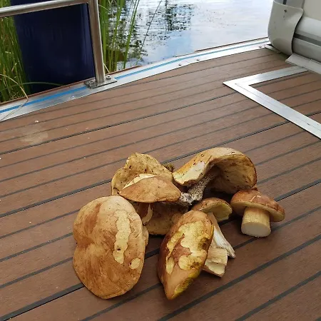 Houseboat Aquavilla * هينولا